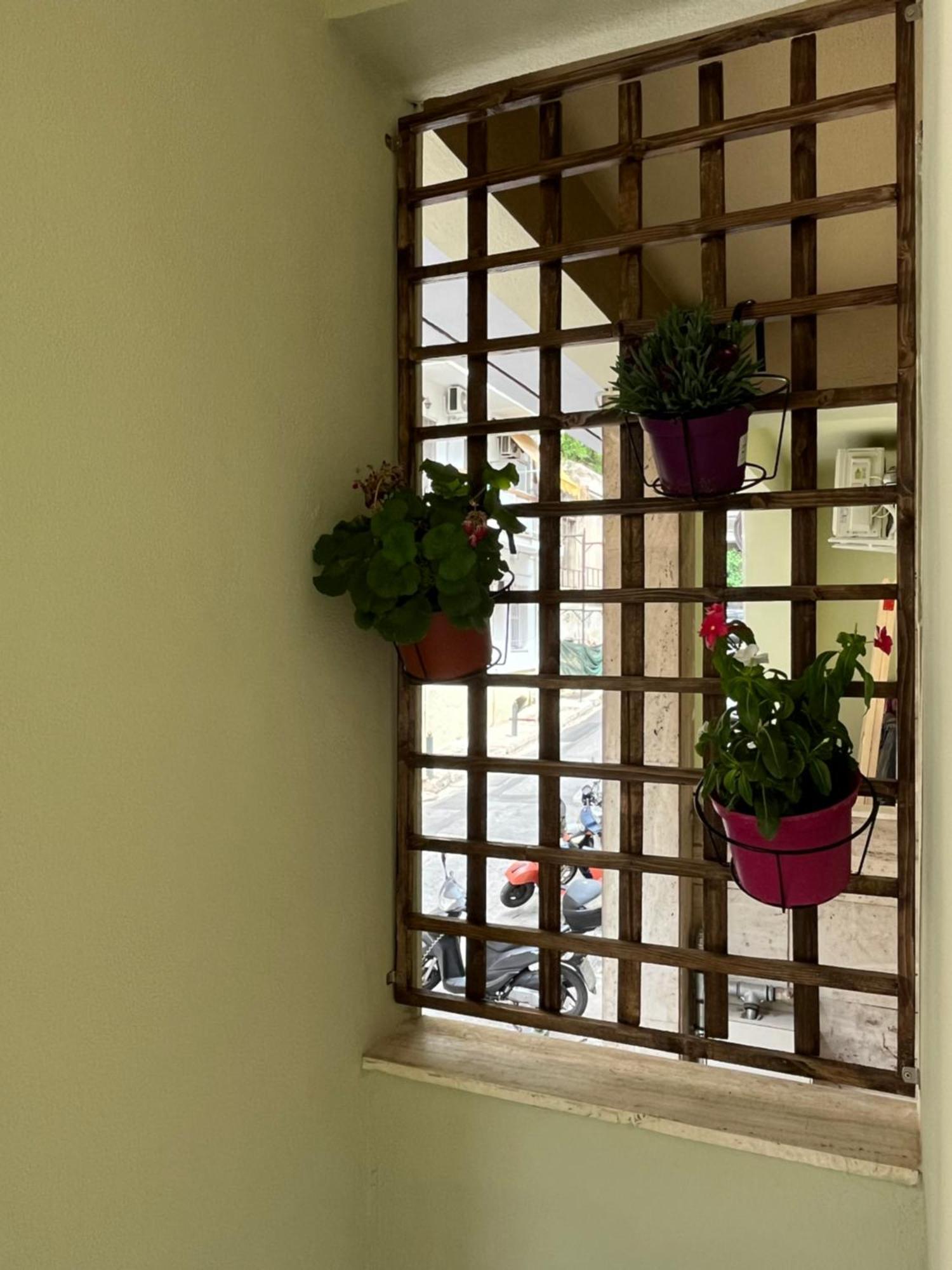 Cozy Διαμέρισμα Αθήνα Εξωτερικό φωτογραφία